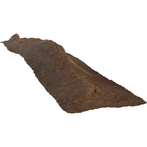 Single Root
