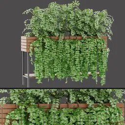 Potted Green Vine Planter