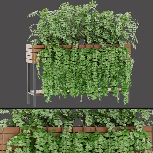 Potted Green Vine Planter