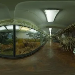 Hall of Mammals