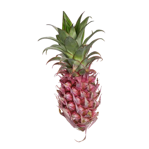 PX Ananas comosus Fruit