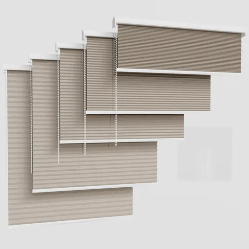 Curtain