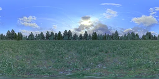 Horizon of trees