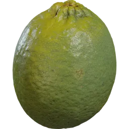 Food Lime