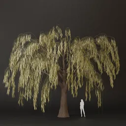 SJ-Drooping Leaf Poem