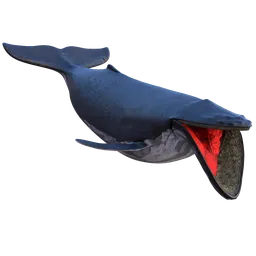 "High-quality 3D model of a realistic humpback whale with rigging and animations, designed for Blender 3D software. Perfect for game development, scientific reconstruction, or illustration purposes. This mammal model features a lifelike appearance and detailed textures, making it an ideal choice for your Blender 3D projects."