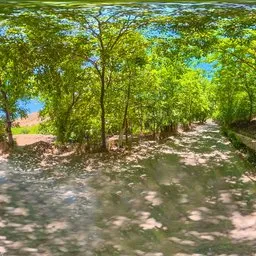 Shaded Woodland Trail Sunny Forest HDRI