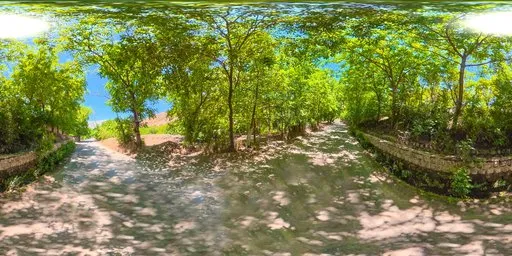 Shaded Woodland Trail Sunny Forest HDRI