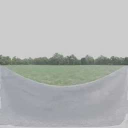 Field with Street Day