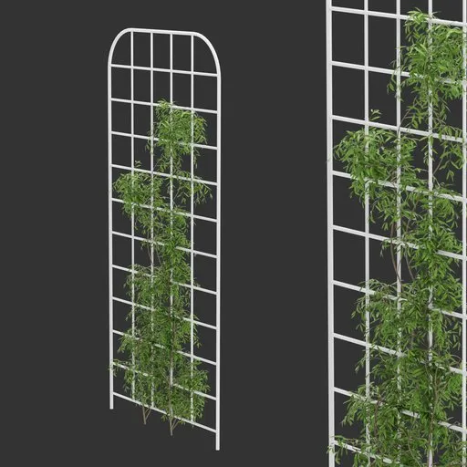 Grid Ivy Simple Plant