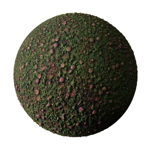 High-resolution Mud Mushrooms Weeds PBR texture for 3D rendering with easy global settings adjustment.