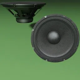 Bass speaker 18 inches.