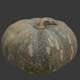 Pumpkin scan