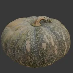 Pumpkin scan