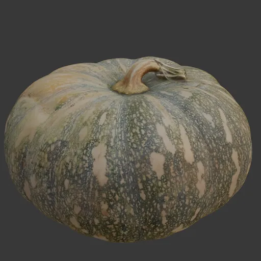 Pumpkin scan