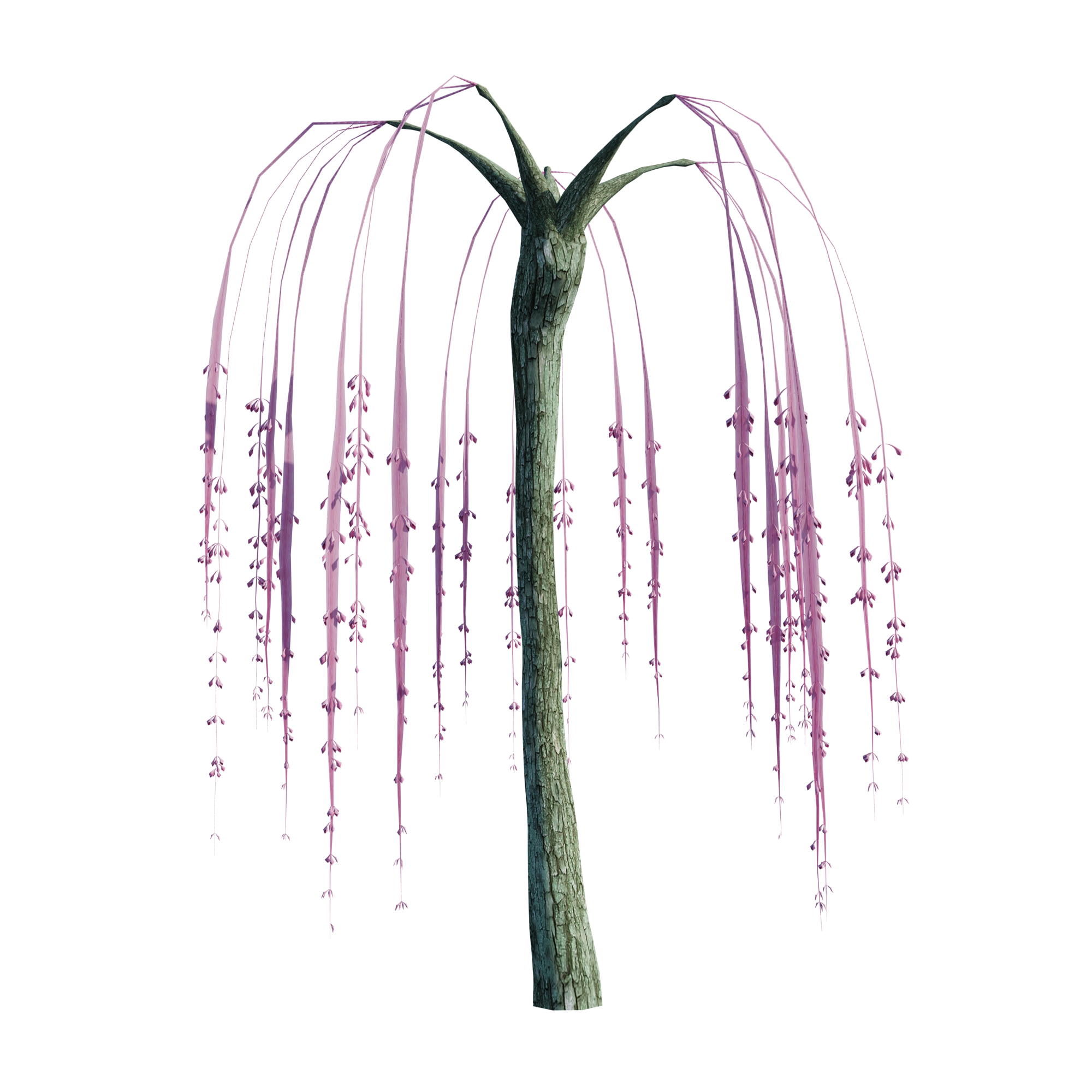 Alien Tree Plant | FREE Nature models | BlenderKit