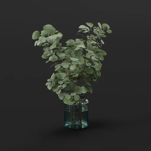 Eucalyptus Branches