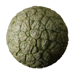 Moss Floor Stone