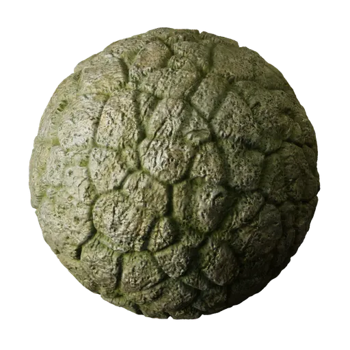 Moss Floor Stone
