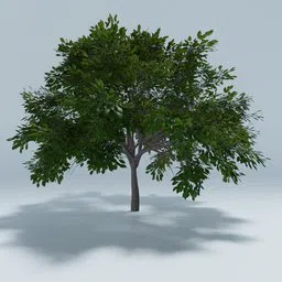 Detailed 3D cherry tree model with lush green foliage suitable for Blender rendering.