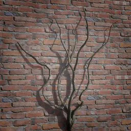 Detailed 3D ivy creeper branches model for game and scene development in Blender, with realistic textures.