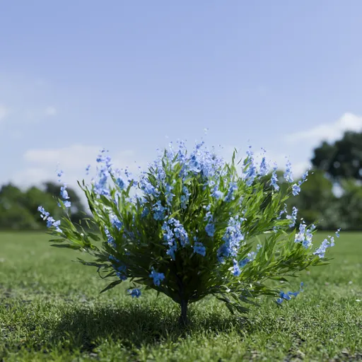 Shurb - Caryopteris Bluebeard ANIMATED