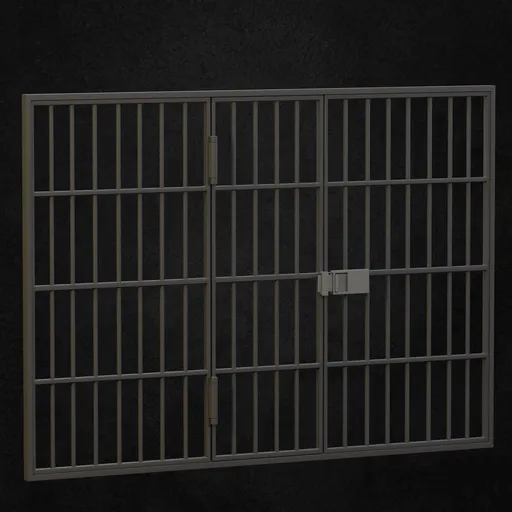 Prison door