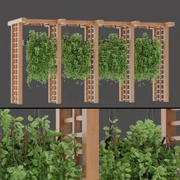 Climbing Plant Trellis Row