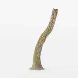 "Mossy birch tree trunk 3D model created with Blender 3D software. This high-quality scanned model is perfect for creating realistic forest environments. Birch Tree Trunk Forest PBR Scan 02 is a must-have for any Blender 3D tree modeling project."