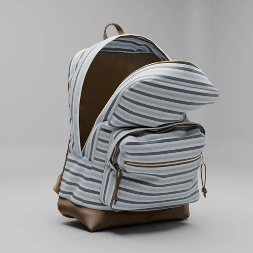 Backpack bag