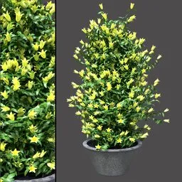 Flowering Garden Divider
