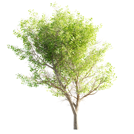 Thumbnail: Tree LOD 0