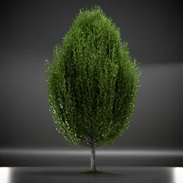 Tree Columnar European Animated