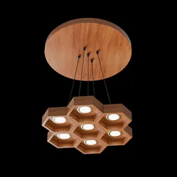 Ceiling Hanging Light