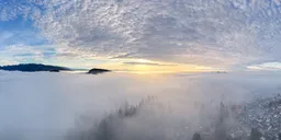 Fog City Sunrise Sky