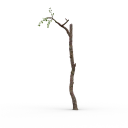 "High-quality 3D model of an old tree with few branches for Blender 3D. Ultra-detailed textures and realistic dirt. Perfect for scenic landscapes and nature scenes."