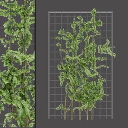 Realistic Vertical Garden