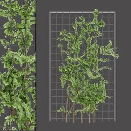 Realistic Vertical Garden