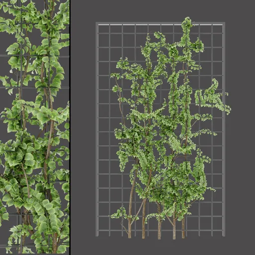 Realistic Vertical Garden