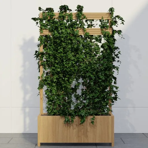 Ivy Garden Trellis Planter