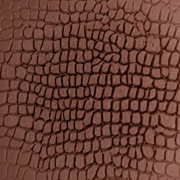 Alligator Skin