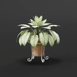 Highly detailed Aglonema plant 3D model with ornate pot, perfect for Blender rendering and interior design visualizations.