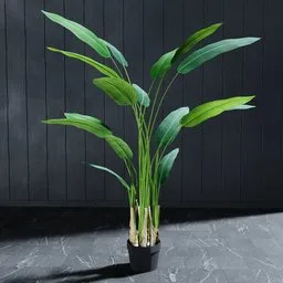 "Artificial Banana Tree 150 cm: A realistic 3D model for Blender 3D. Perfect for nature-indoor scenes, this intricately designed plant features green leaves, stems, and foliage. Easily customizable with linked copy objects, modify and adapt it to suit your specific scene requirements. Created with Blender 3D software."