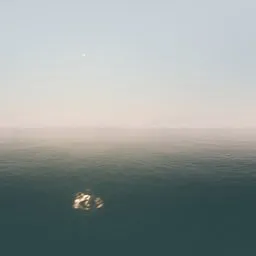 Early Afternoon Glow