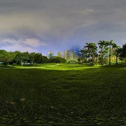 Green grass at night