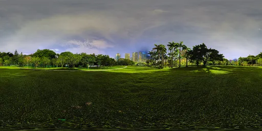 Green grass at night