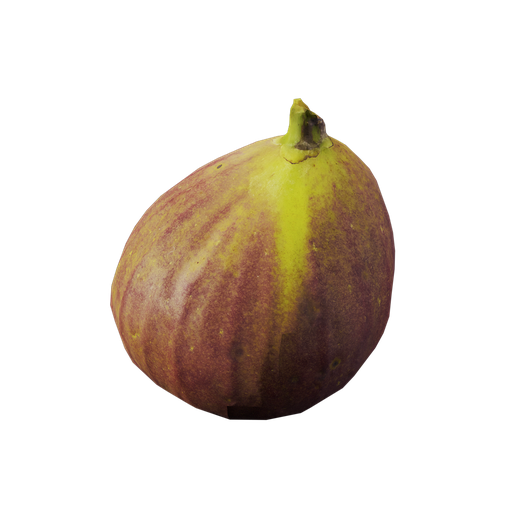 Ficus carica