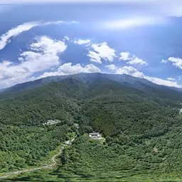 Green forest grass cloud
