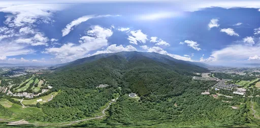 Green forest grass cloud