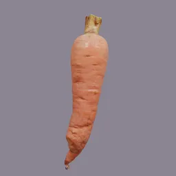 Carrot